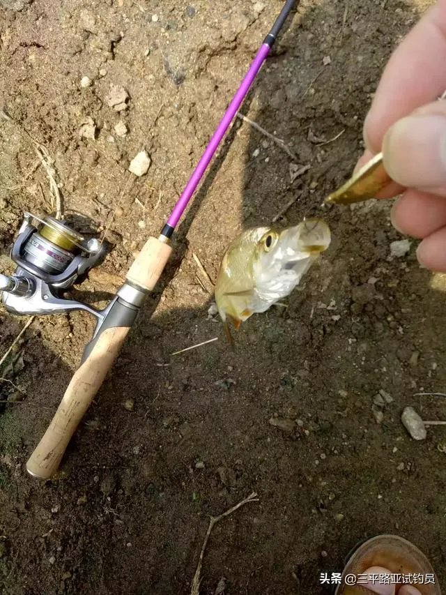 谁可以分享一下路亚钓鱼技巧？