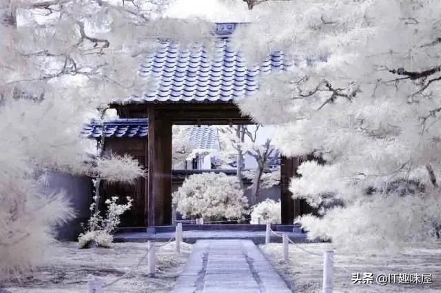 大家如何看待一加手机的摄像头透视功能？