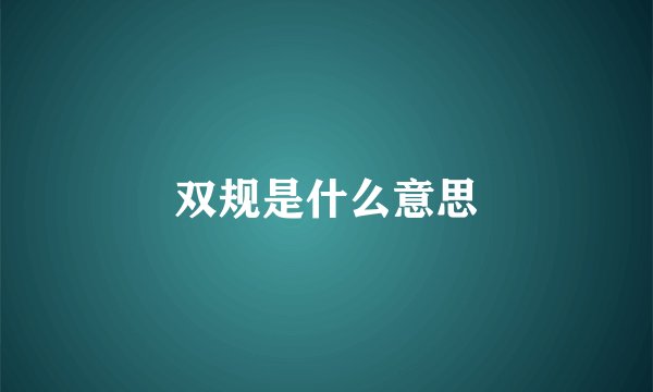 双规是什么意思