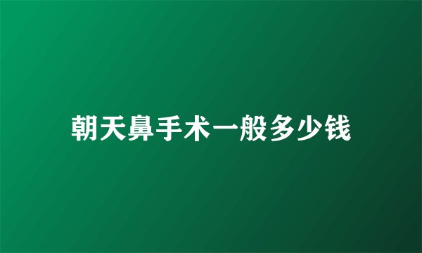 朝天鼻手术一般多少钱