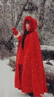 李子柒是不是文化输出引热议,你怎么看?