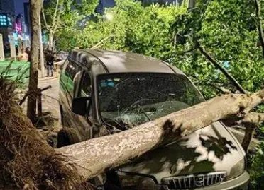 江苏南通大风致11死102伤,当地的风达到了多少级?