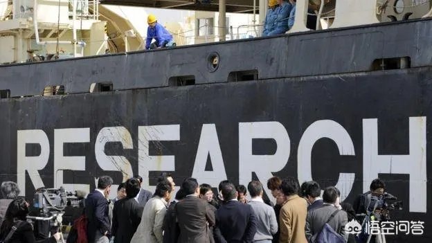 你怎么看待“日本从南极捕回333头鲸鱼”，并将7月将正式重启商业捕鲸这种行为？