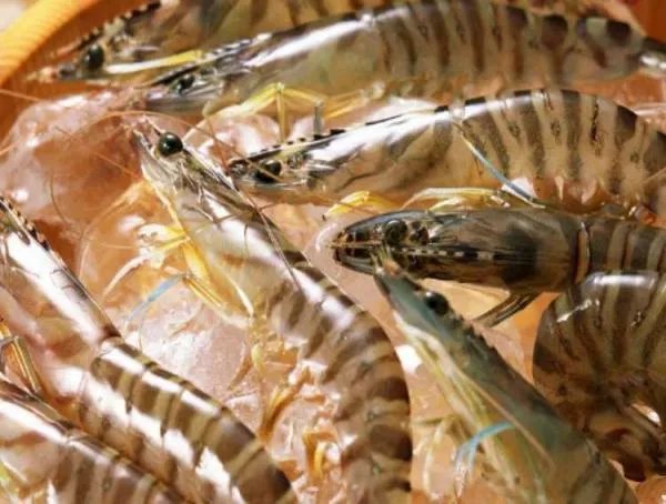 小虾怎么做好吃？