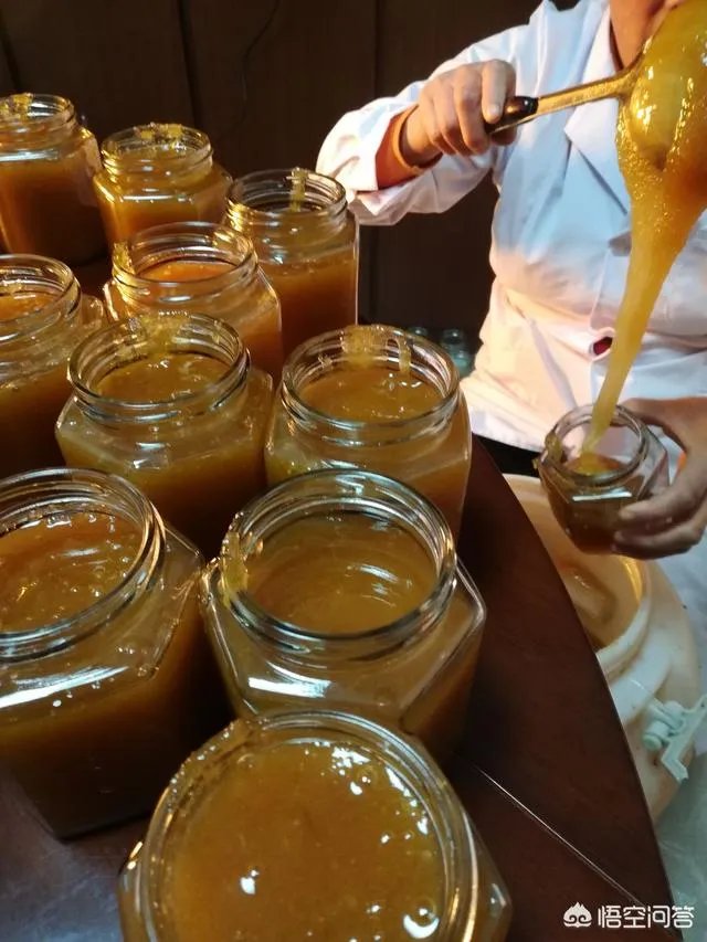 农村人自己养的蜂蜜怎么样？贵吗？