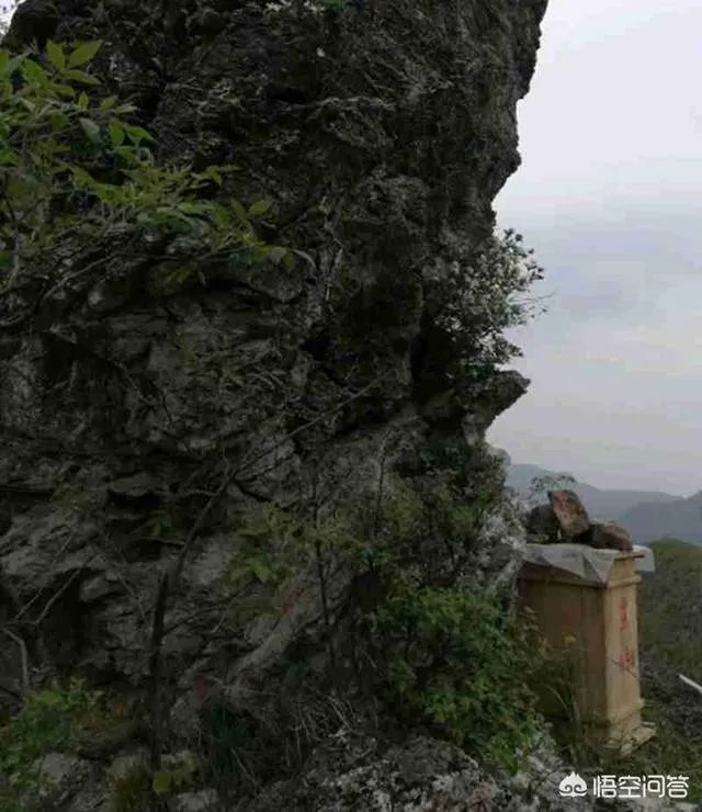 农村人自己养的蜂蜜怎么样？贵吗？