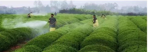 健康生活离不开好水