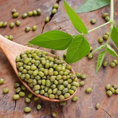 怎么治疗湿疹最有效