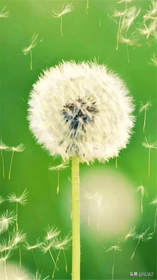 上联:一地方,一江河,看龙腾,听狮吼,希联友赐下联?