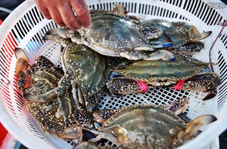 梭子蟹多少钱一斤 2018梭子蟹价格行情