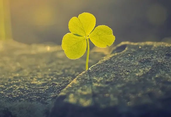 德国优色林(德国优色林中国官网)