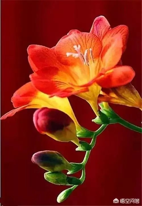 为什么要让过去成为过去？