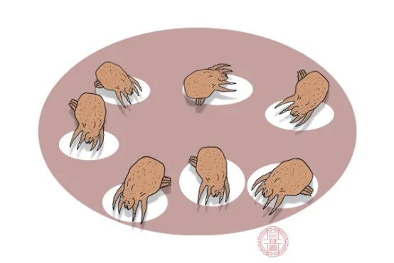 疥疮症状有哪些