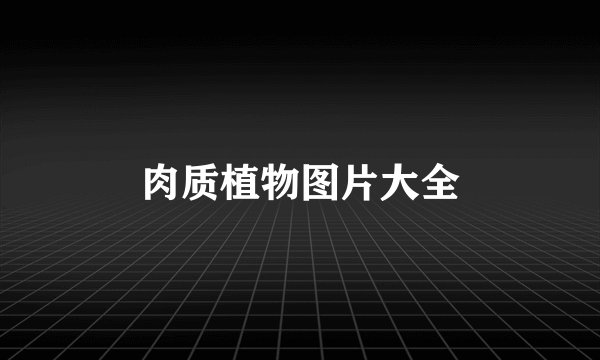 肉质植物图片大全