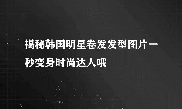 揭秘韩国明星卷发发型图片一秒变身时尚达人哦