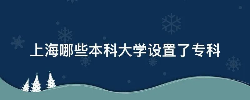 上海哪些本科大学设置了专科