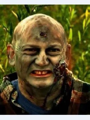 僵尸战争的剧情简介