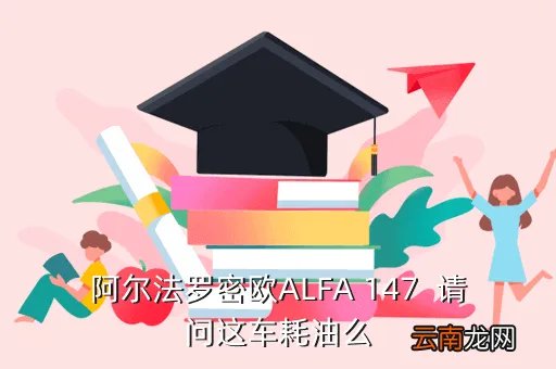 阿尔法罗密欧147，阿尔法罗密欧 147做一年service需要多少钱