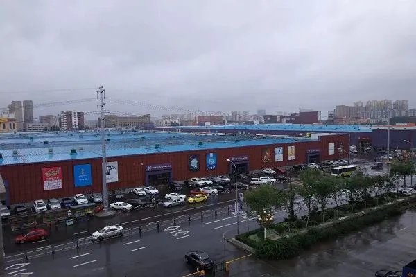 今年第6号台风已经生成，登陆时间是什么时候，地点在哪？