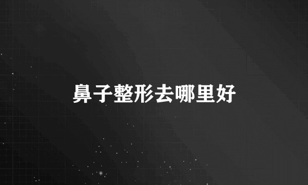 鼻子整形去哪里好