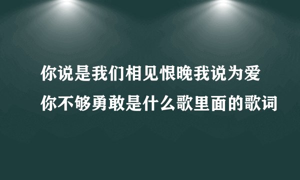 你说是我们相见恨晚我说为爱你不够勇敢是什么歌里面的歌词