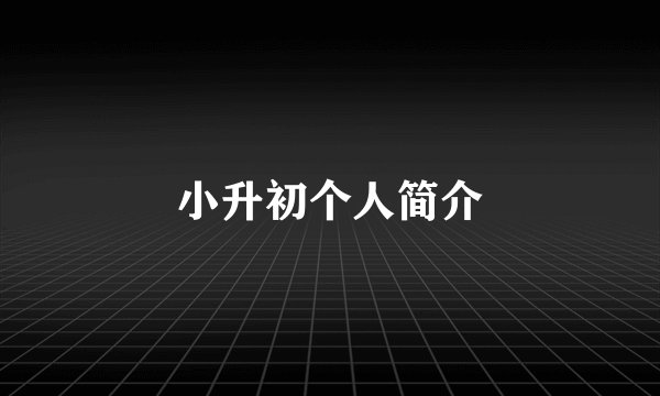 小升初个人简介