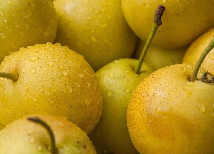 雪梨的功效与作用