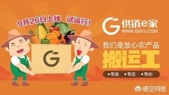 怎么加盟供销e家?