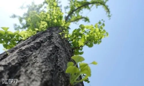 关于开展“绿水青山节能增效”节能宣传周总结心得精选5篇