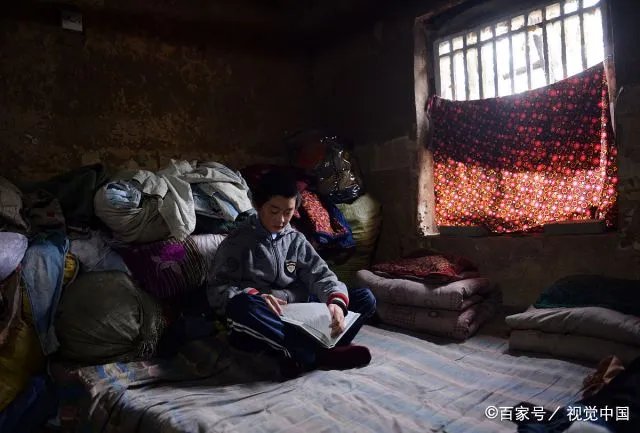 王永强事件最新进展