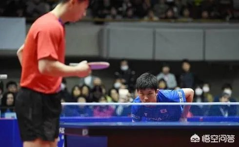 亚洲杯马龙3:1轻取张本智和，彻底打散了张本的傲气，你怎么看？