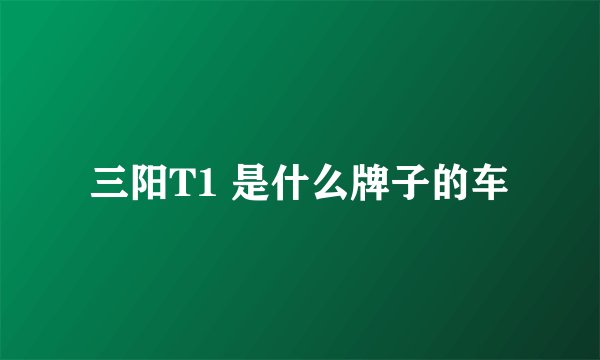 三阳T1 是什么牌子的车