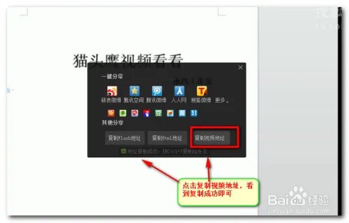 猫头鹰视频看看是真的吗【揭晓骗子】