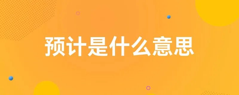预计是什么意思
