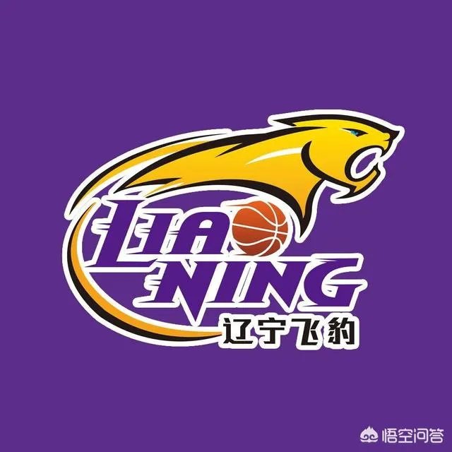 韩德君受伤后,本赛季辽篮是否考虑重组12人大名单?