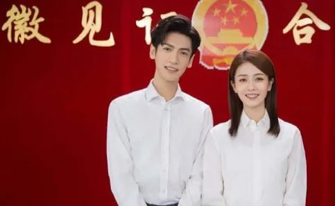 《半是蜜糖半是伤》将在日本播出，内地影视剧在海外市场反响如何？