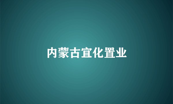 内蒙古宜化置业