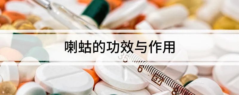 喇蛄的功效与作用