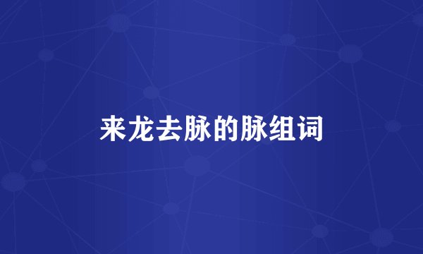 来龙去脉的脉组词