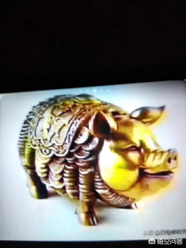 2019年，你最喜欢的猪年祝福语是什么？