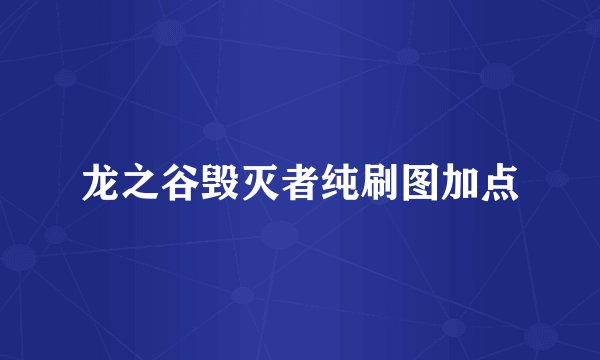 龙之谷毁灭者纯刷图加点