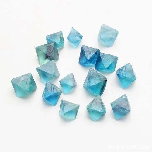 十二星座的守护花精灵