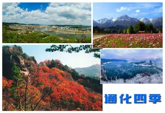 通化这座城市怎么样？