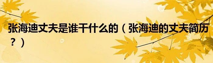 张海迪丈夫是谁干什么的（张海迪的丈夫简历？）