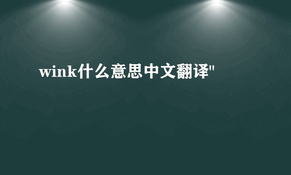 wink什么意思中文翻译