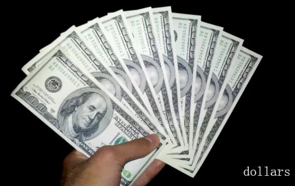 dollars 是什么意思