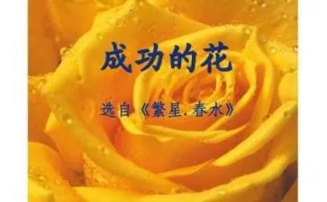 冰心《成功的花》原文及赏析