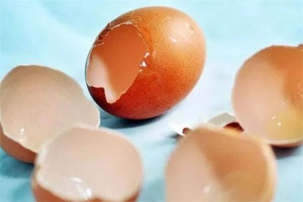 鸡蛋壳属于什么垃圾 鸡蛋壳是干垃圾还是湿垃圾