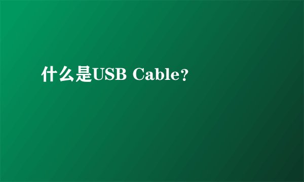 什么是USB Cable？