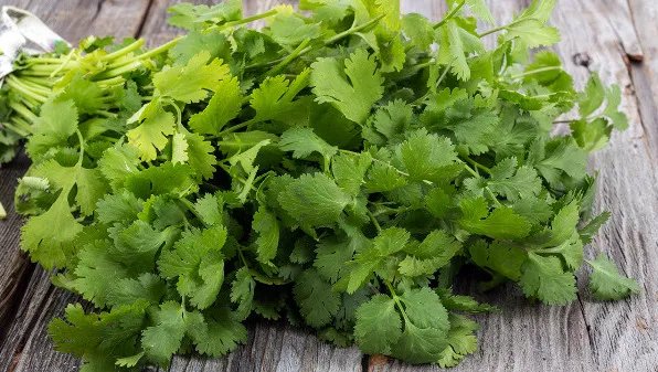 肾脏不好吃什么食物